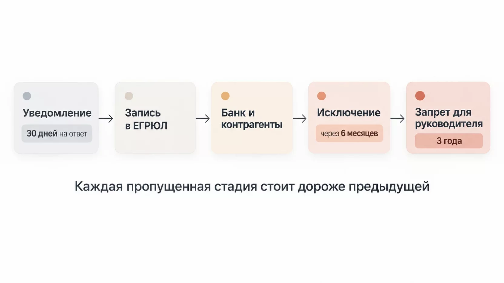 Инфографика: шкала от уведомления налоговой и тридцати дней на ответ до записи о недостоверности, исключения из ЕГРЮЛ через шесть месяцев и трёхлетнего запрета